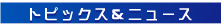 �V�X�e���f�U�C��